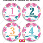 Бебешки стикери за всеки месец "Бебешки месечинки"