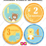 Бебешки стикери за всеки месец „Бебешки месечинки“