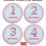 Бебешки стикери за всеки месец „Бебешки месечинки“