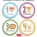Бебешки стикери за всеки месец „Бебешки месечинки“