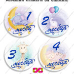 Бебешки стикери за всеки месец „Бебешки месечинки“