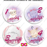 Бебешки стикери за всеки месец „Бебешки месечинки“