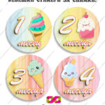 Бебешки стикери за всеки месец „Бебешки месечинки“